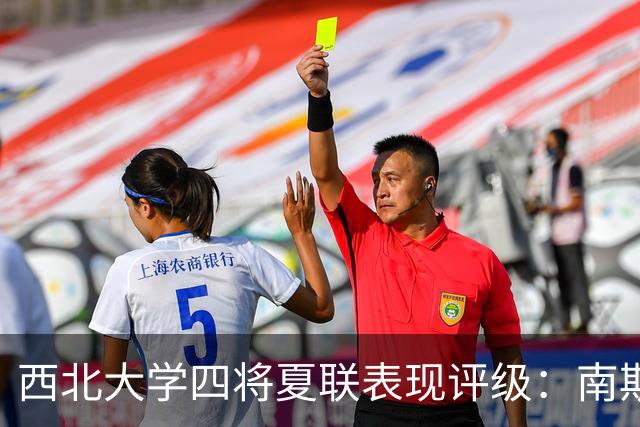 西北大学四将夏联表现评级：南斯B级闪耀，布伊C-陷挣扎